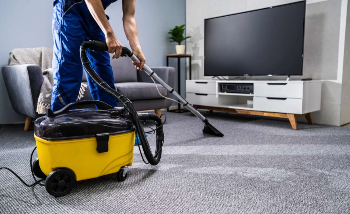 Extract Upholstery Cleaning Main Ridge Contact Office